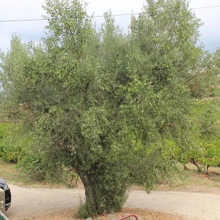 Quinta Das Charcas E Do Rio Κατάλυμα σε φάρμα *