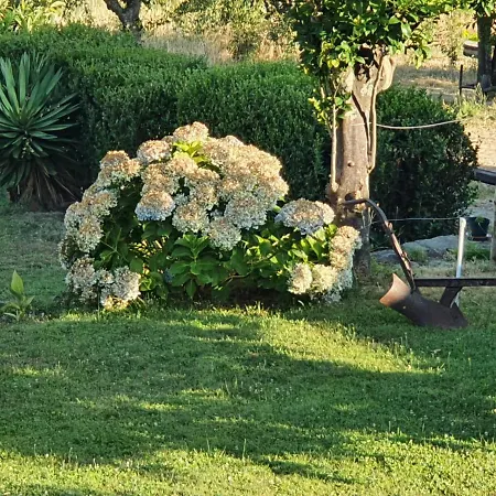 Κατάλυμα σε φάρμα Quinta Das Charcas E Do Rio